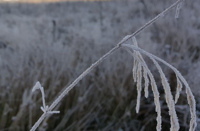 Free download Countryside Nature Frozen -  free photo or picture to be edited with GIMP online image editor