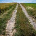 Countryside trail  screen for extension Chrome web store in OffiDocs Chromium