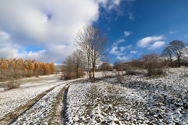 Free download countryside winter nature snow free picture to be edited with GIMP free online image editor