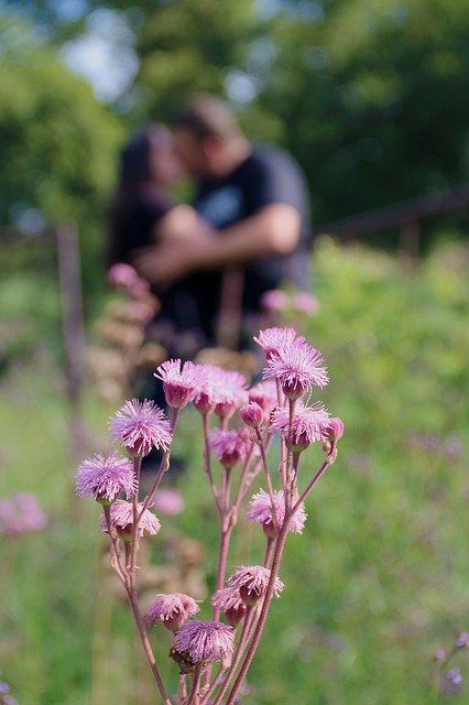 Free download Couple Kissing Kiss -  free photo or picture to be edited with GIMP online image editor