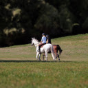 Couple on horseback  screen for extension Chrome web store in OffiDocs Chromium
