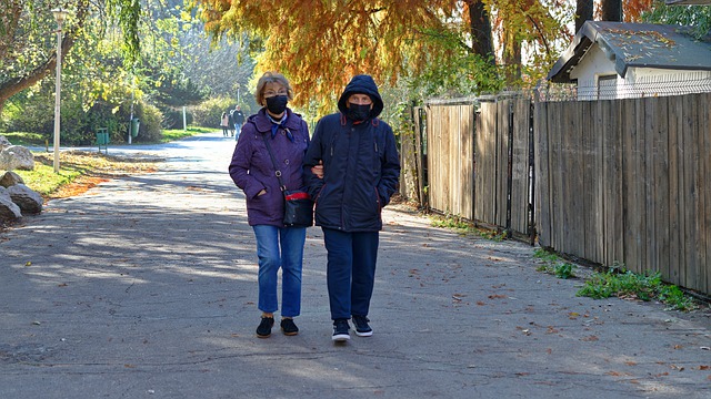 Бесплатно скачать пару супругов пожилые маски бесплатное изображение для редактирования с помощью бесплатного онлайн-редактора изображений GIMP