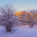 Covered by white snow  screen for extension Chrome web store in OffiDocs Chromium