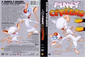 Free download Cover Pink E Celebro , Pind an the brain free photo or picture to be edited with GIMP online image editor