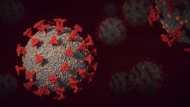 Free download covid 19 coronavirus infection free picture to be edited with GIMP free online image editor