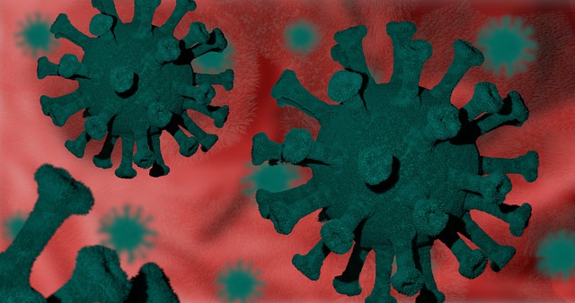Free download covid 19 virus disease corona free picture to be edited with GIMP free online image editor