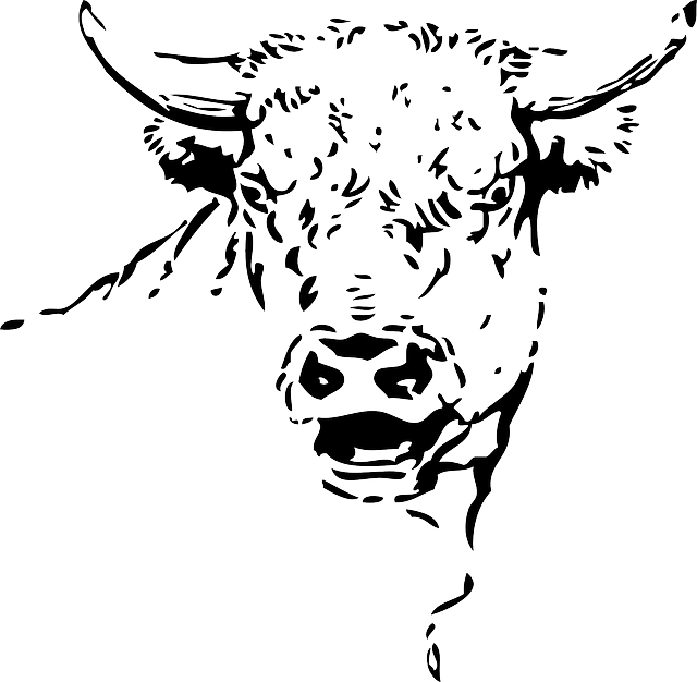 Free download Cow Bull Head - Free vector graphic on Pixabay free illustration to be edited with GIMP free online image editor