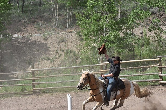 Kostenloser Download Cowgirls Rodeo Competition - kostenloses Foto oder Bild zur Bearbeitung mit GIMP Online-Bildbearbeitung