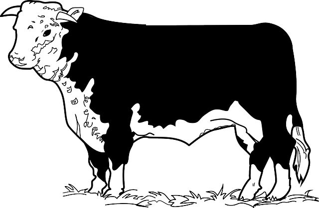 Free download Cow Grass Standing - Free vector graphic on Pixabay free illustration to be edited with GIMP free online image editor