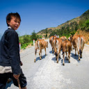 Cowherd boy  screen for extension Chrome web store in OffiDocs Chromium