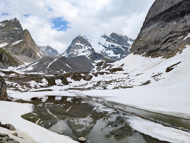 Free download cow lake lake vanoise mountain free picture to be edited with GIMP free online image editor