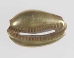 Free download Cowrie shell pendant free photo or picture to be edited with GIMP online image editor