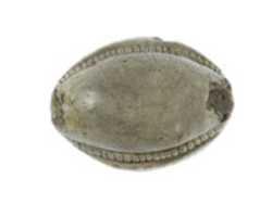 Free download Cowroid Seal Amulet with the Name of the Hyksos King Apophis free photo or picture to be edited with GIMP online image editor
