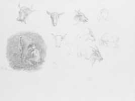 Free download Cows and Goats; Boy Milking free photo or picture to be edited with GIMP online image editor