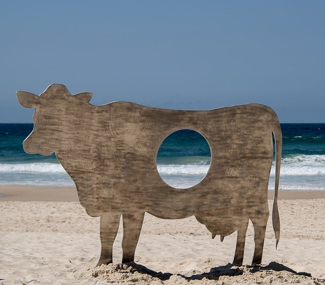 Szablon zdjęcia Dziura w kształcie krowy — dla OffiDocs