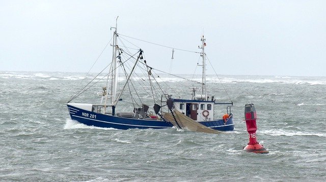 Free picture Crab Catcher North Sea Norderney -  to be edited by GIMP free image editor by OffiDocs