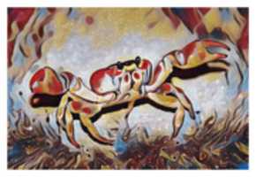 Free download Crab free photo or picture to be edited with GIMP online image editor