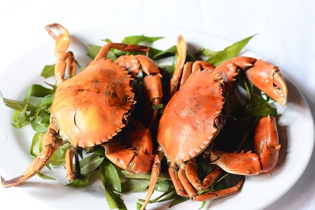 Скачать бесплатно Crab Meat Grilled - бесплатное фото или изображение для редактирования с помощью онлайн-редактора изображений GIMP
