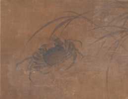 Free download Crabs and Reeds free photo or picture to be edited with GIMP online image editor
