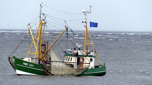 Muat turun percuma Crabs Crab Fisherman Norderney - foto atau gambar percuma untuk diedit dengan editor imej dalam talian GIMP