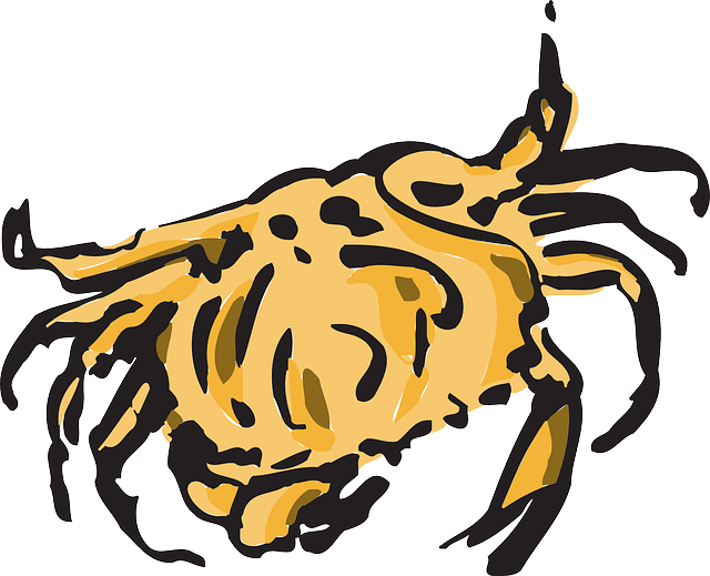 Free download Crab Shell Pincers - Free vector graphic on Pixabay free illustration to be edited with GIMP free online image editor