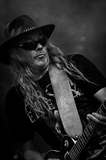 Free download cradle n roll black roses guitar free picture to be edited with GIMP free online image editor