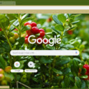 Cranberry Tree  screen for extension Chrome web store in OffiDocs Chromium