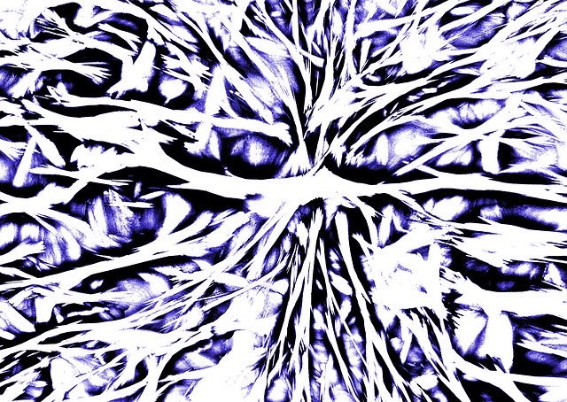 Free download Crazy Pattern Texture -  free illustration to be edited with GIMP free online image editor