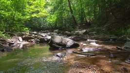 Free download Creek Brook Stream -  free video to be edited with OpenShot online video editor