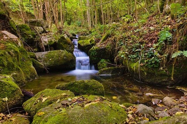 Free download Creek Cascade Nature -  free photo or picture to be edited with GIMP online image editor