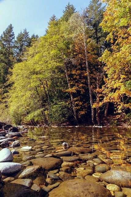 Gratis download Creek Fall Reflection - gratis foto of afbeelding om te bewerken met GIMP online afbeeldingseditor