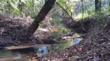 Free download Creek of Silver Comet Trail free photo or picture to be edited with GIMP online image editor