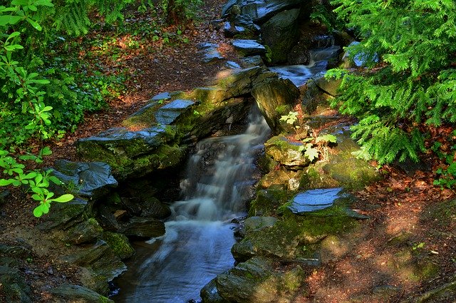 Téléchargement gratuit Creek Park Water - photo ou image gratuite à éditer avec l'éditeur d'images en ligne GIMP