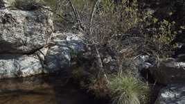 Free download Creek River Lake -  free video to be edited with OpenShot online video editor