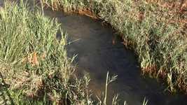 Free download Creek Sahara Oasis -  free video to be edited with OpenShot online video editor