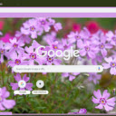 Creeping Phlox  screen for extension Chrome web store in OffiDocs Chromium