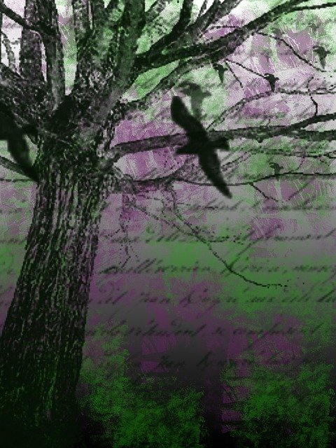 Free download Creepy Crows Scary -  free illustration to be edited with GIMP free online image editor