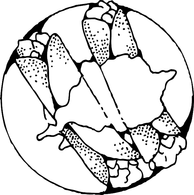 Free download Crepes Crepe French Pancake Thin - Free vector graphic on Pixabay free illustration to be edited with GIMP free online image editor