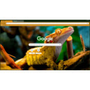 Crested gecko  screen for extension Chrome web store in OffiDocs Chromium