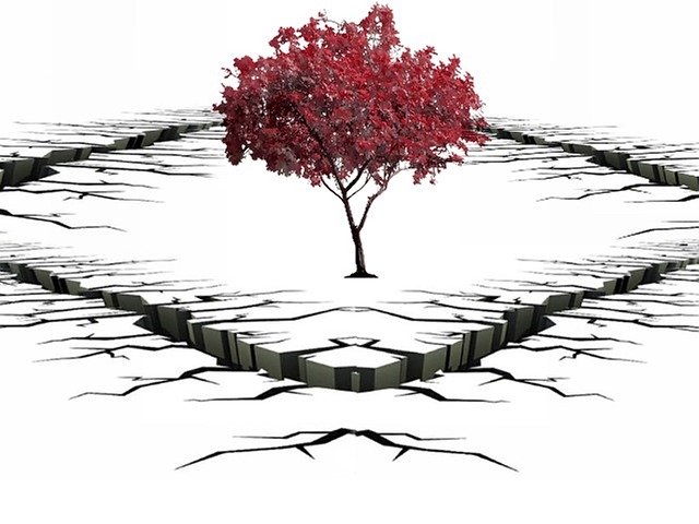Free download Crevasse Tree Solitary -  free illustration to be edited with GIMP free online image editor