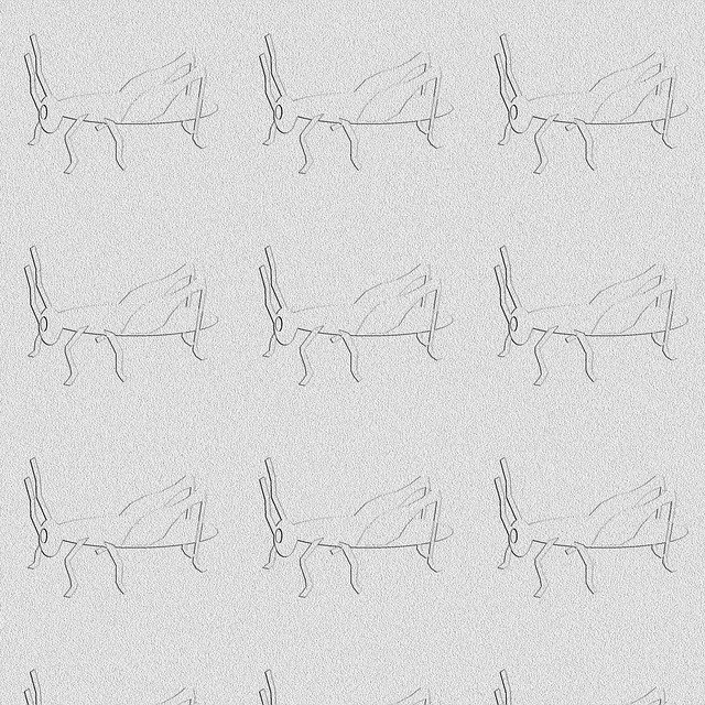Free download Cricket Background Insect -  free illustration to be edited with GIMP free online image editor
