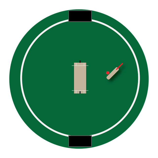 Free download Cricket Ground Art Stadium -  free illustration to be edited with GIMP free online image editor
