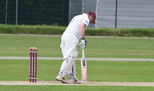 무료 다운로드 Cricket Sport Batsman - 무료 사진 또는 김프 온라인 이미지 편집기로 편집할 수 있는 사진