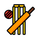 Cricket Updates  screen for extension Chrome web store in OffiDocs Chromium