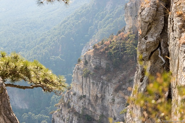 Free download crimea ay petri mountain mountains free picture to be edited with GIMP free online image editor
