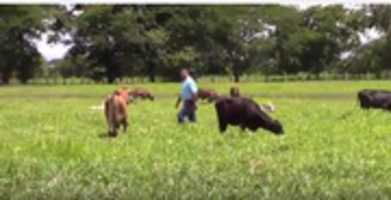 Free download crisisdeleche2 free photo or picture to be edited with GIMP online image editor