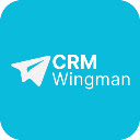 CRM Wingman  screen for extension Chrome web store in OffiDocs Chromium
