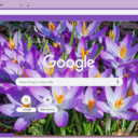 Crocus  screen for extension Chrome web store in OffiDocs Chromium