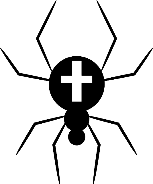 Free download Cross Spider Insect - Free vector graphic on Pixabay free illustration to be edited with GIMP free online image editor