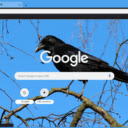 Crow  screen for extension Chrome web store in OffiDocs Chromium